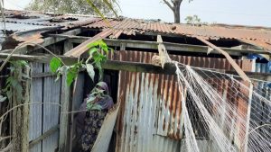 আশ্রায়ন প্রকল্প