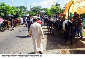 জমে উঠেছে পশুরহাট