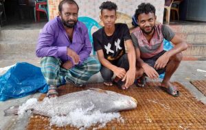 ভোল মাছ বিক্রি হল ১লাখ ৯০ হাজার টাকায়