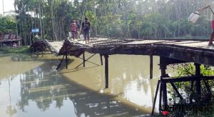 বাগেরহাটে পুল ভেঙ্গে খালে, দুই বছর জুড়ে ভোগান্তি