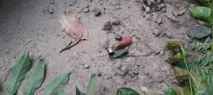 বাগেরহাটে বিএনপি নেতা ও সাবেক ইউপি সদস্যকে গুলি করে এবং কুপিয়ে হত্যা