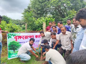 নাজিম উদ্দিন ফাউন্ডেশনের উদ্যোগে বৃক্ষরোপণ কর্মসূচি ও গাছের চারা বিতরণ